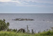 Jan Andersson 