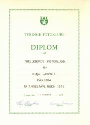 diplom 20