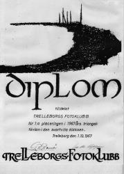 diplom 2