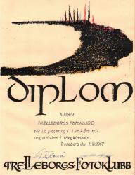 diplom 5