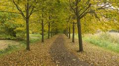 Brian Törnquist