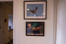 IMG_1192